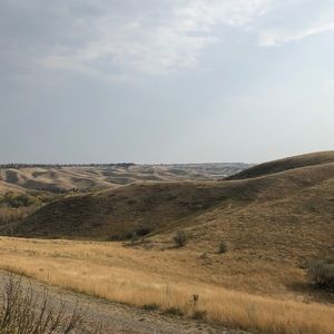 Meet your Posher, Sonia